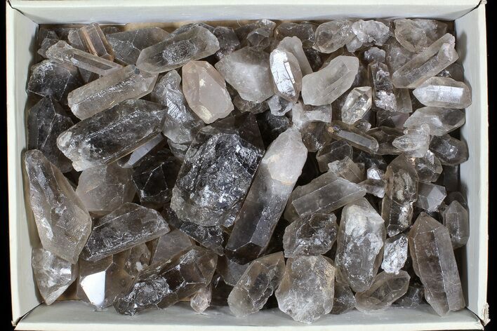 Lot: Lbs Smoky Quartz Crystals (-) - Brazil #77826
